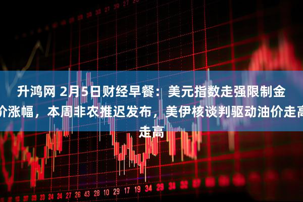 升鸿网 2月5日财经早餐：美元指数走强限制金价涨幅，本周非农推迟发布，美伊核谈判驱动油价走高